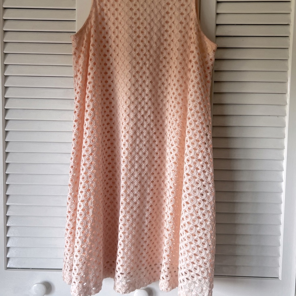 Baby Pink Swing Dress